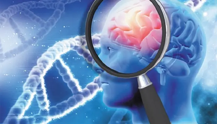 Di truyền cũng là yếu tố nguy cơ làm tăng khả năng mắc bệnh Alzheimer