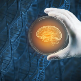 Bệnh rối loạn lưỡng cực có di truyền không nếu gia đình có người mắc