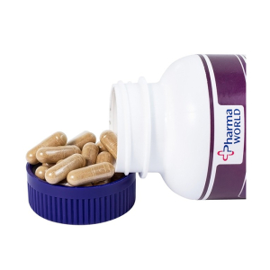 Brain Support Pharma World hỗ trợ sức khỏe cho não 60 viên