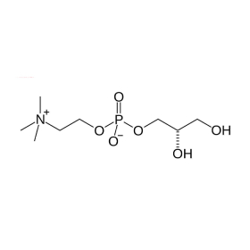 Cholin Alfoscerate: Giải pháp cải thiện trí nhớ và tuần hoàn não