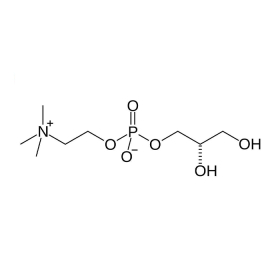 Choline Alfoscerate: Giải pháp cải thiện trí tuệ và tuần hoàn não