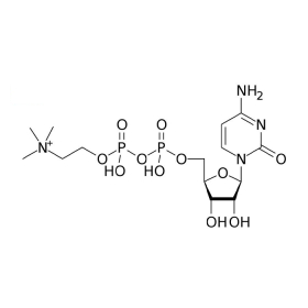 Citicoline: Giải pháp tăng cường trí não cho người suy giảm nhận thức