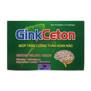 Ginkceton 120Mg giúp tăng cường tuần hoàn máu não 100 viên