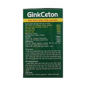 Ginkceton 120Mg giúp tăng cường tuần hoàn máu não 100 viên