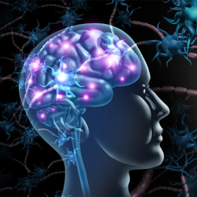 Nguyên nhân bệnh Alzheimer: Hiểu đúng để phòng ngừa sớm