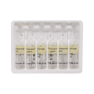 Piracetam Kabi 1g/5ml điều trị suy giảm trí nhớ (12 ống x 5ml)