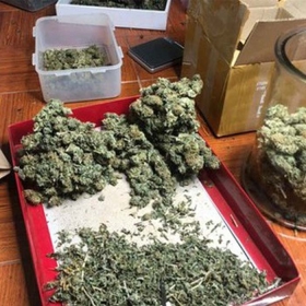 Rối loạn tâm thần do cần sa: Hệ lụy nguy hiểm thế nào?