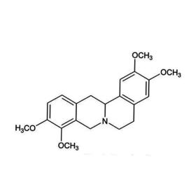 Rotundin: Giải pháp hỗ trợ an thần, giảm rối loạn giấc ngủ