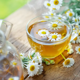 Uống trà hoa cúc có bị mất ngủ không? Cách dùng hỗ trợ ngủ ngon