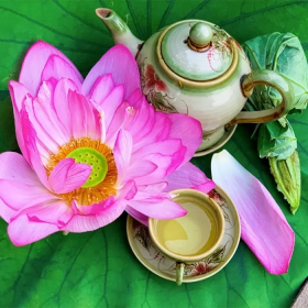 Uống trà sen có mất ngủ không? Cách dùng để tránh mất ngủ
